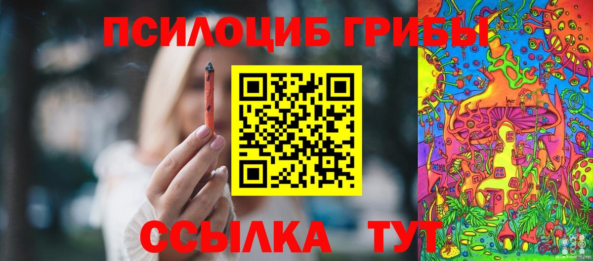 Галлюциногенные грибы Psilocybe Дзержинский