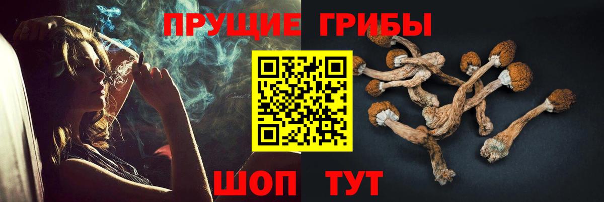 Псилоцибиновые грибы GOLDEN TEACHER  Вход с VPN  Дзержинский  Галлюциногенные грибы Magic Shrooms 